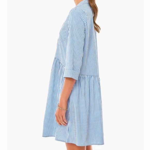 Blue Stripe Royal Shirt Dress TUCKERNUCK - Picture 5 of 13